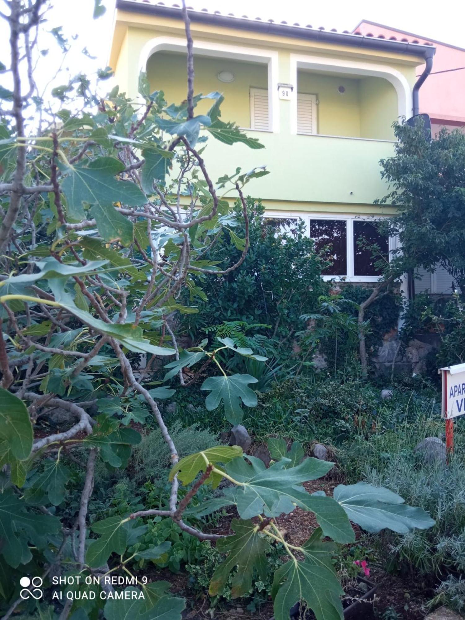 ריבריצה Apartments Vesna מראה חיצוני תמונה